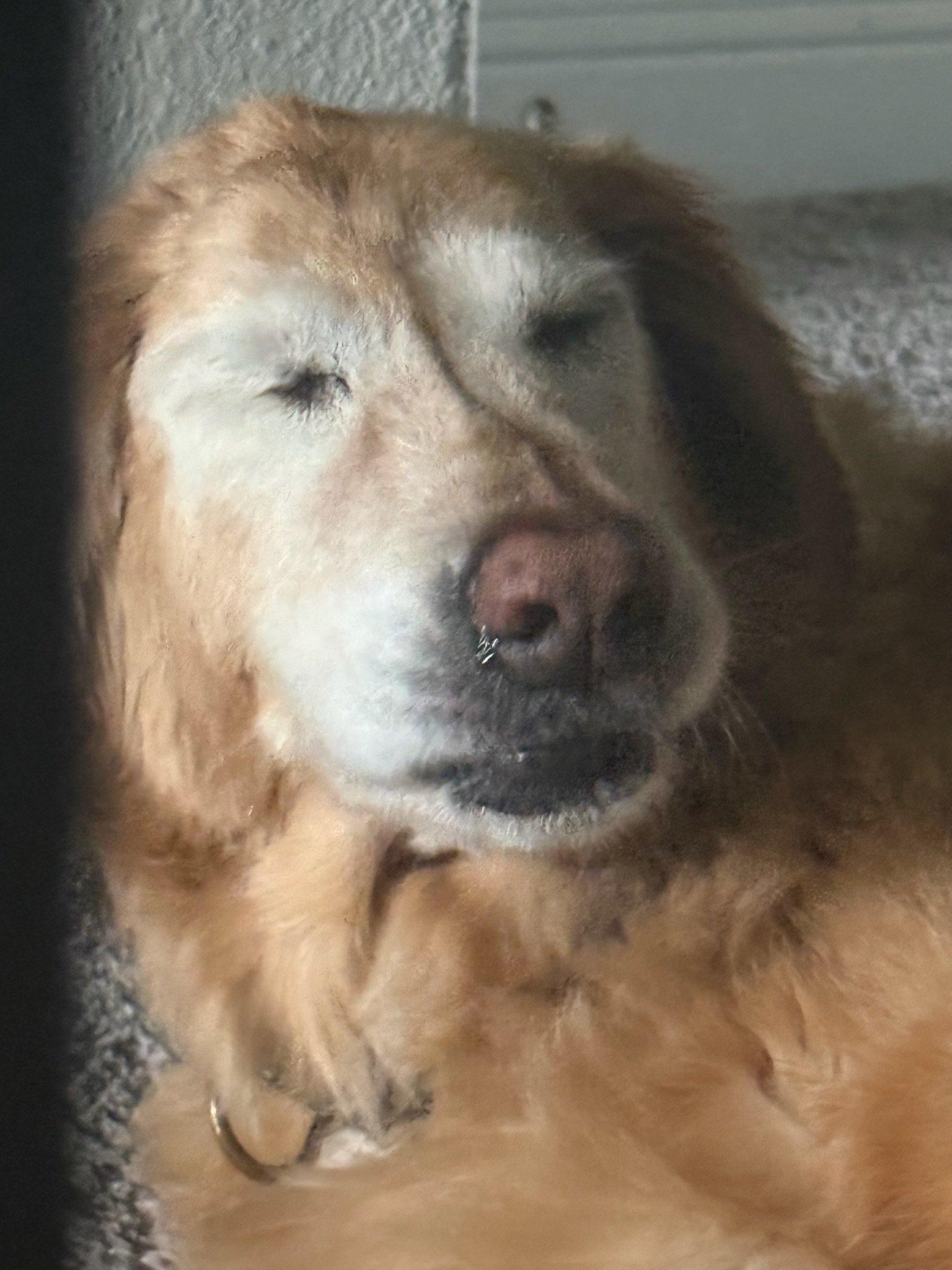 Louie memory